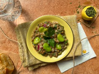 Salade de lentilles moutardées aux fèves et au thym
