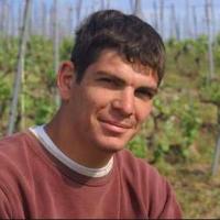 Vigneron Guillaume Clusel