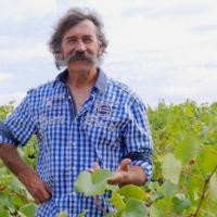 Vigneron Jo Landron